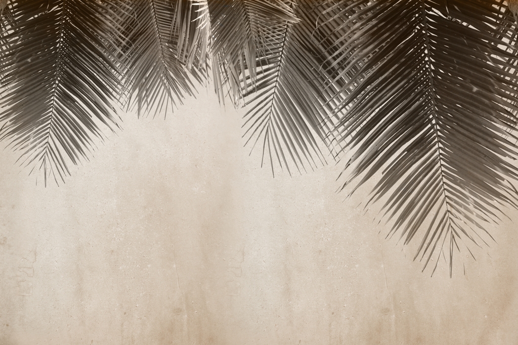 Fototapeta-Czarna-Palma_2078677693-1