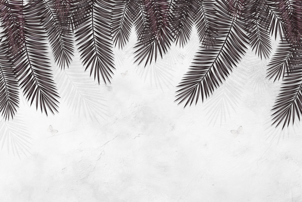 Fototapeta-Czarne-Liscie-Palmy-_2059821857