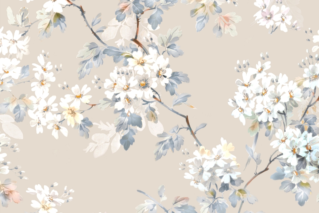 Fototapeta-Galazka-Bialych-Kwiatow_2135543991-1