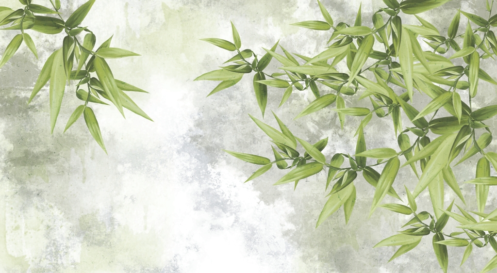 Fototapeta-Listki-Na-Tle-Szarego-Nieba_2094611464-1