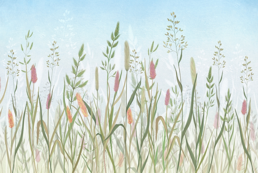 Fototapeta-Ozdobne-Trawy_1918880573-1