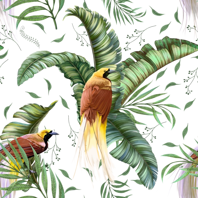Fototapeta-Rajskie-Ptaki_2252111479-1