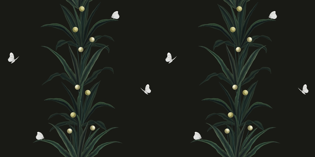 Fototapeta-Rosliny-Na-Czarnym-Tle_2101769665-1