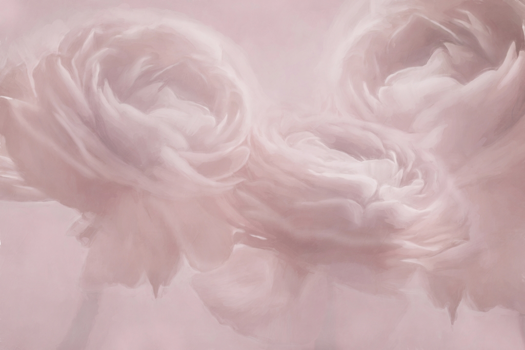 Fototapeta-Roze-w-Rozach_2249407901-1