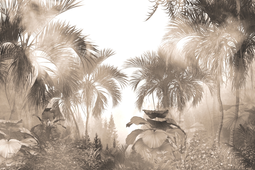 Fototapeta-Swiatlo-w-Dzungli_2198597115-1