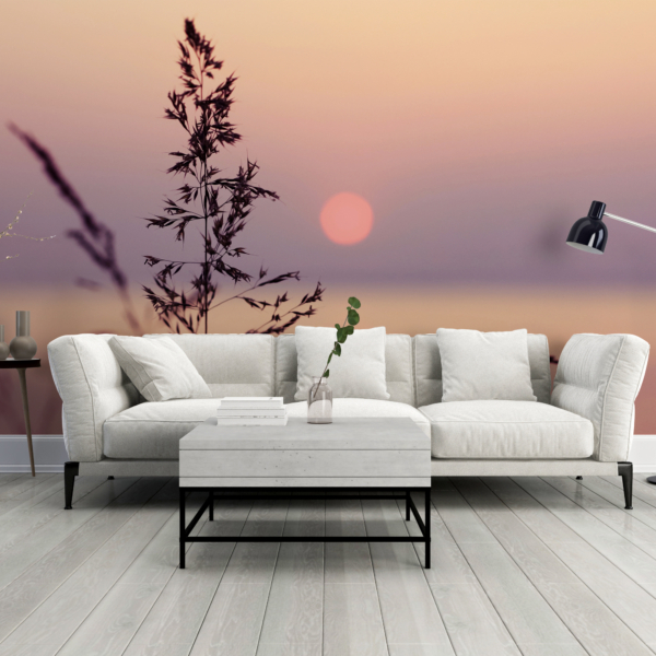 Tapeta trava u zalasku sunca