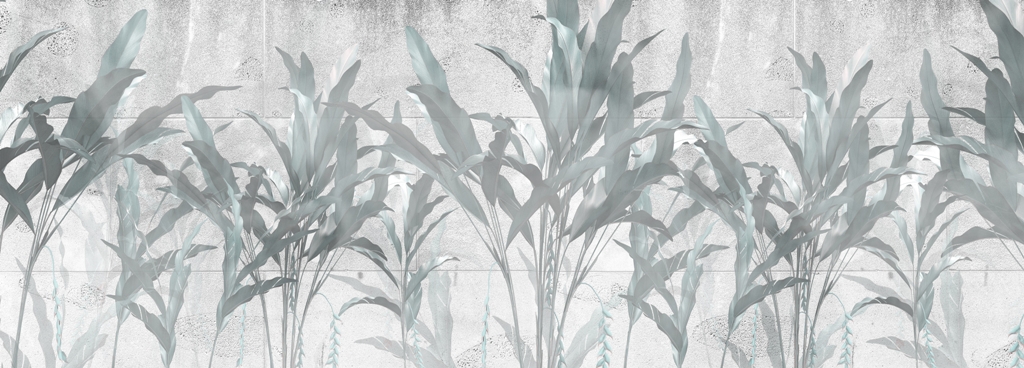 Fototapeta-Tropikalna-Trawa-w-Szarosci_2219642393-1