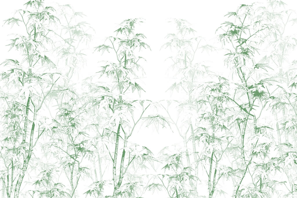 Fototapeta-Zielona-RoTlinnoT¦c_2313194455