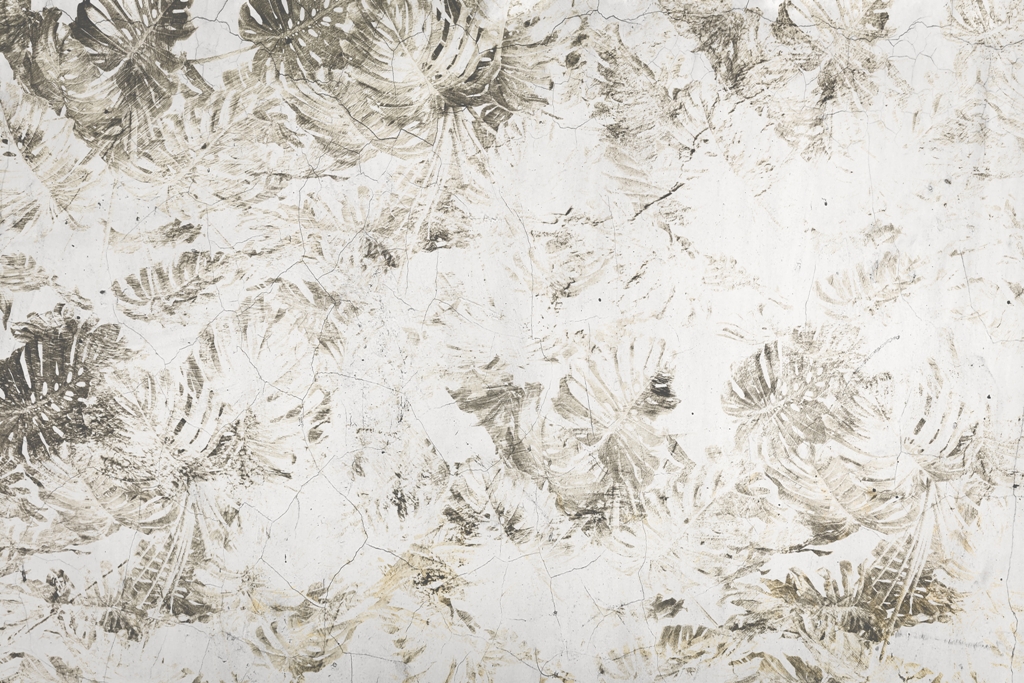 Fototapeta-Zniszczona-Monstera_2215657829-1