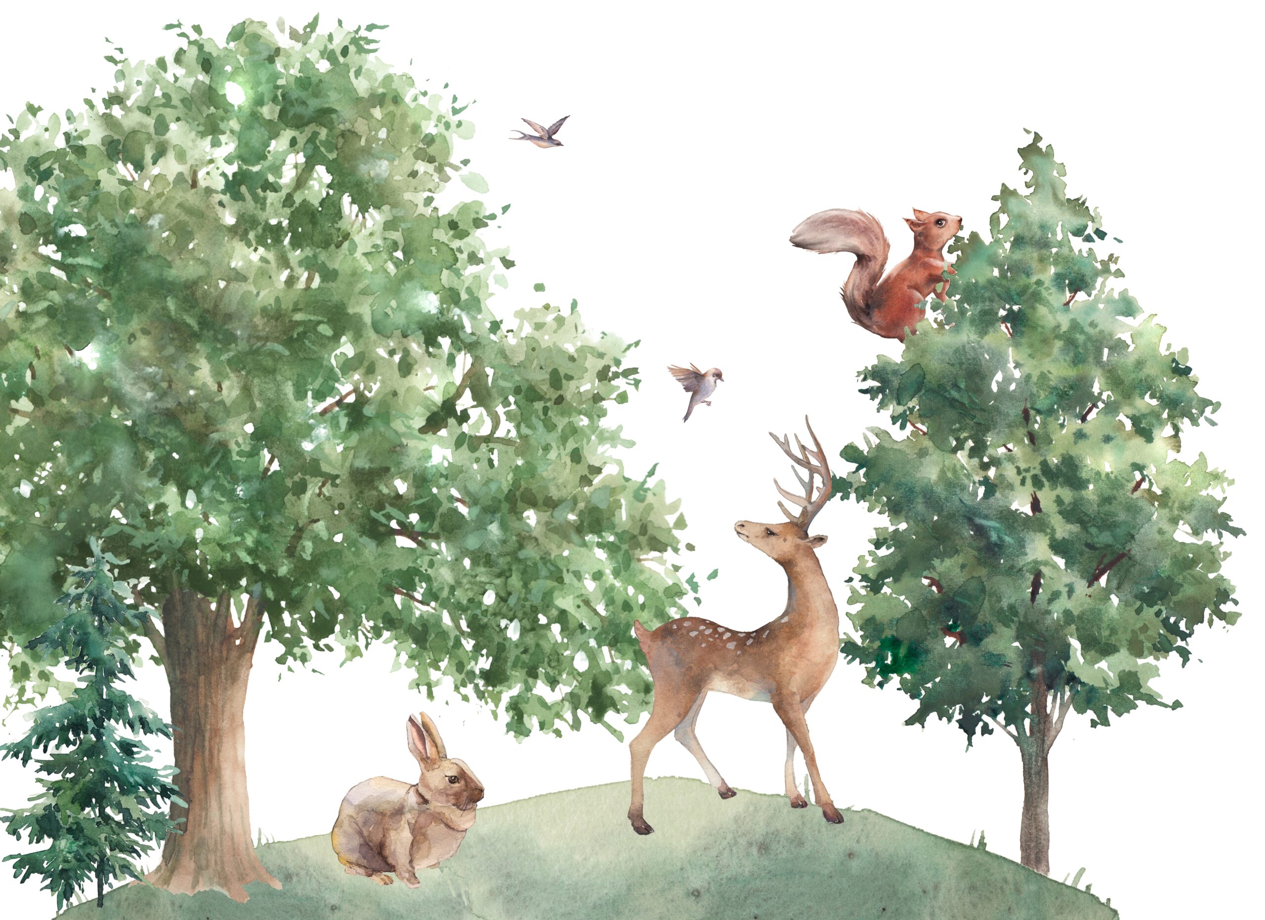 Woodland,Wildlife,Wallpaper.,Illustration,With,Squirrel,,Deer,And,Rabbit.,Watercolor
