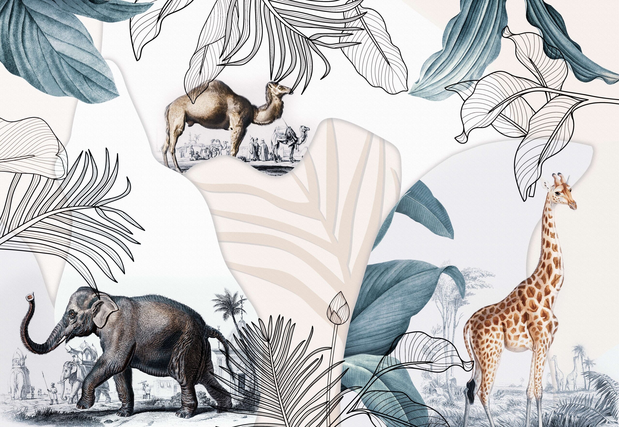 Color,World,Of,Different,Animals,,Different,And,Natural,Poster,Design