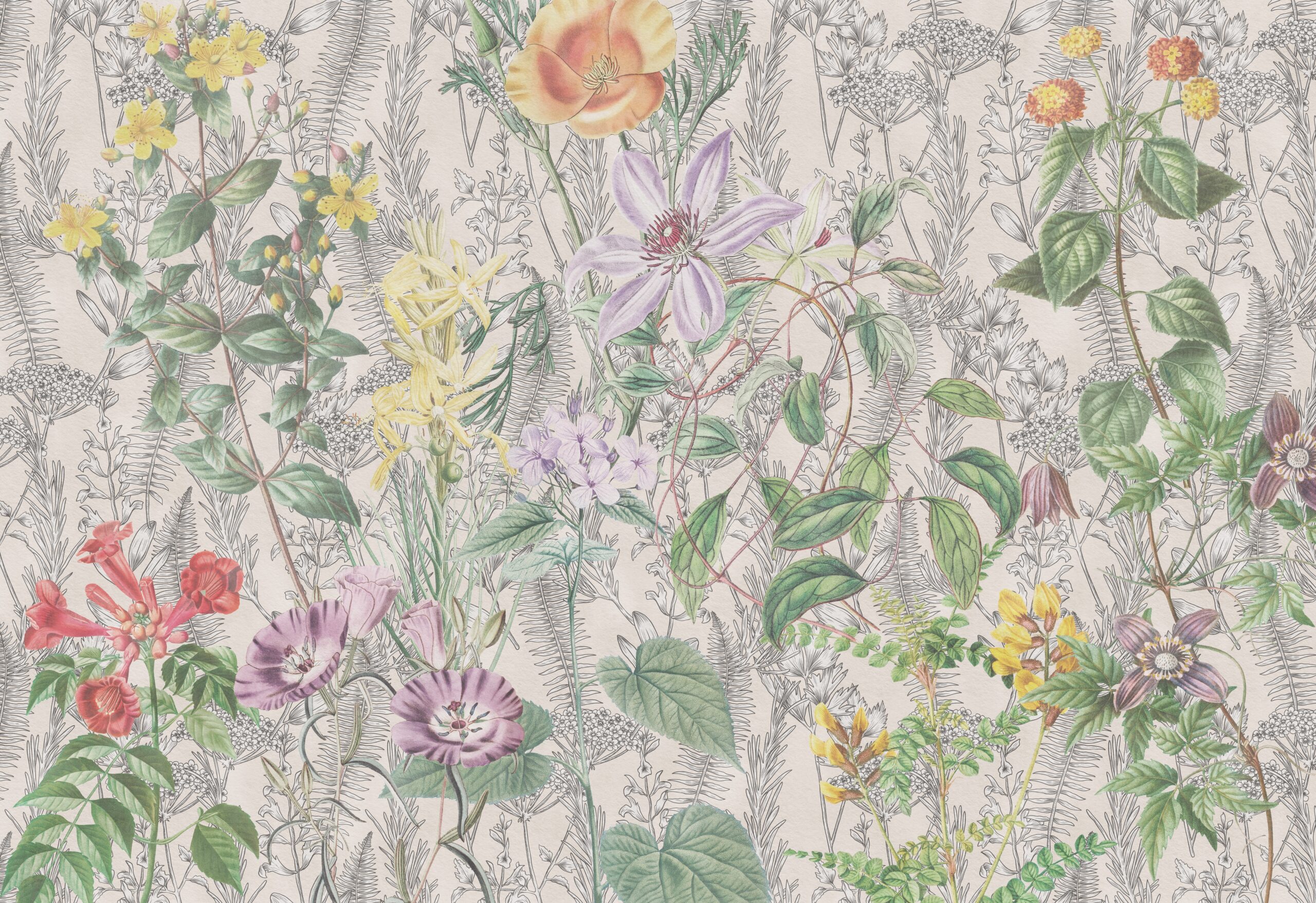 Botanical,Flower.,Flowers,Background.,Blossom,Flowers.,Floral.,Botanical,Flowers.,Wallpaper