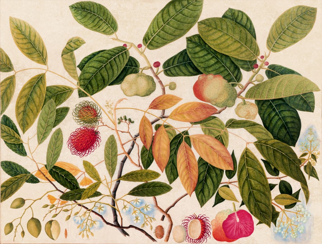 Exquisite,Asian,Fruit,Illustration:,A,Vibrant,Composition,Showcasing,Exotic,Asian
